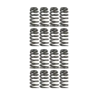 Product image of Cat Cams PAC Racing Valve Springs PAC-E99862 R53