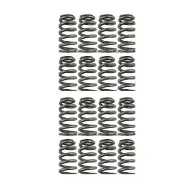 Product image of Cat Cams PAC Racing Valve Springs PAC-E99862 R53