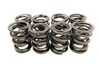 Product image of Cat Cams PAC Racing Valve Springs PAC-D99864 R56 N14
