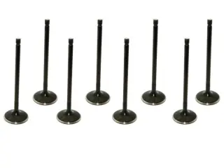 Product image of Supertech R56 N14 N18 Inlet Valves Black Nitride