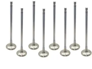 Product image of Supertech R56 N14 N18 Exhaust Valves Inconel